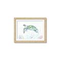Picture of Sea Turtle II  _GroupedProduct_Rectangle_Landscape_Framed_Matted_