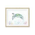Picture of Sea Turtle II  _GroupedProduct_Rectangle_Landscape_Framed_Matted_