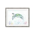 Picture of Sea Turtle II  _GroupedProduct_Rectangle_Landscape_Framed_Matted_