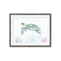 Picture of Sea Turtle II  _GroupedProduct_Rectangle_Landscape_Framed_Matted_