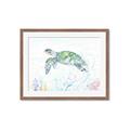Picture of Sea Turtle II  _GroupedProduct_Rectangle_Landscape_Framed_Matted_