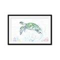 Picture of Sea Turtle II  _GroupedProduct_Rectangle_Landscape_Framed_Matted_