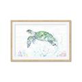 Picture of Sea Turtle II  _GroupedProduct_Rectangle_Landscape_Framed_Matted_