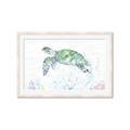 Picture of Sea Turtle II  _GroupedProduct_Rectangle_Landscape_Framed_Matted_