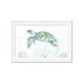 Picture of Sea Turtle II  _GroupedProduct_Rectangle_Landscape_Framed_Matted_