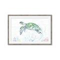 Picture of Sea Turtle II  _GroupedProduct_Rectangle_Landscape_Framed_Matted_