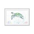 Picture of Sea Turtle II  _GroupedProduct_Rectangle_Landscape_Framed_Matted_