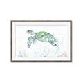 Picture of Sea Turtle II  _GroupedProduct_Rectangle_Landscape_Framed_Matted_