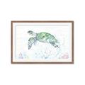 Picture of Sea Turtle II  _GroupedProduct_Rectangle_Landscape_Framed_Matted_