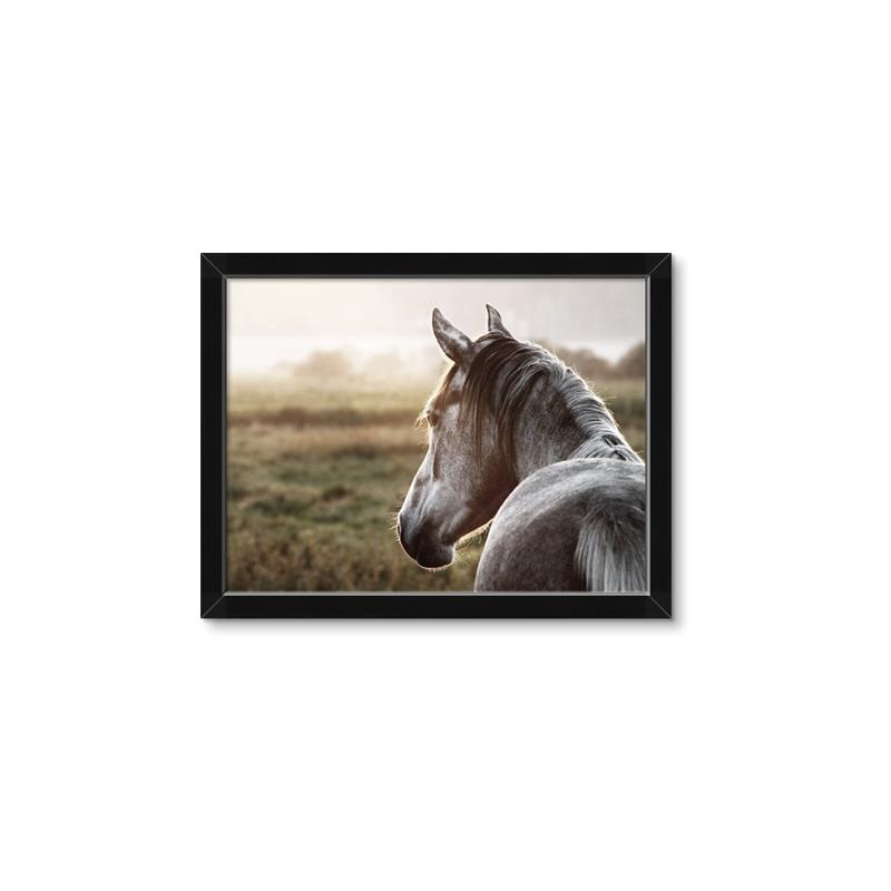 Picture of Horse & the Horizon _GroupedProduct_Rectangle_Landscape_Photography _GroupedProduct_Rectangle_Landscape_Framed_Matted_