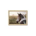 Picture of Horse & the Horizon _GroupedProduct_Rectangle_Landscape_Photography _GroupedProduct_Rectangle_Landscape_Framed_Matted_