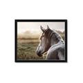 Picture of Horse & the Horizon _GroupedProduct_Rectangle_Landscape_Photography _GroupedProduct_Rectangle_Landscape_Framed_Matted_