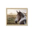 Picture of Horse & the Horizon _GroupedProduct_Rectangle_Landscape_Photography _GroupedProduct_Rectangle_Landscape_Framed_Matted_