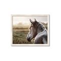Picture of Horse & the Horizon _GroupedProduct_Rectangle_Landscape_Photography _GroupedProduct_Rectangle_Landscape_Framed_Matted_