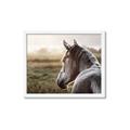 Picture of Horse & the Horizon _GroupedProduct_Rectangle_Landscape_Photography _GroupedProduct_Rectangle_Landscape_Framed_Matted_
