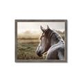 Picture of Horse & the Horizon _GroupedProduct_Rectangle_Landscape_Photography _GroupedProduct_Rectangle_Landscape_Framed_Matted_
