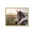 Picture of Horse & the Horizon _GroupedProduct_Rectangle_Landscape_Photography _GroupedProduct_Rectangle_Landscape_Framed_Matted_