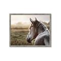 Picture of Horse & the Horizon _GroupedProduct_Rectangle_Landscape_Photography _GroupedProduct_Rectangle_Landscape_Framed_Matted_