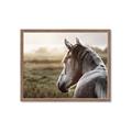 Picture of Horse & the Horizon _GroupedProduct_Rectangle_Landscape_Photography _GroupedProduct_Rectangle_Landscape_Framed_Matted_