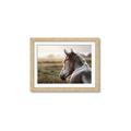 Picture of Horse & the Horizon _GroupedProduct_Rectangle_Landscape_Photography _GroupedProduct_Rectangle_Landscape_Framed_Matted_