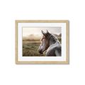 Picture of Horse & the Horizon _GroupedProduct_Rectangle_Landscape_Photography _GroupedProduct_Rectangle_Landscape_Framed_Matted_