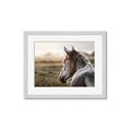 Picture of Horse & the Horizon _GroupedProduct_Rectangle_Landscape_Photography _GroupedProduct_Rectangle_Landscape_Framed_Matted_