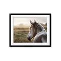 Picture of Horse & the Horizon _GroupedProduct_Rectangle_Landscape_Photography _GroupedProduct_Rectangle_Landscape_Framed_Matted_