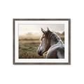 Picture of Horse & the Horizon _GroupedProduct_Rectangle_Landscape_Photography _GroupedProduct_Rectangle_Landscape_Framed_Matted_