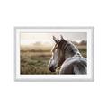 Picture of Horse & the Horizon _GroupedProduct_Rectangle_Landscape_Photography _GroupedProduct_Rectangle_Landscape_Framed_Matted_