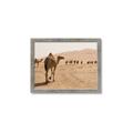 Picture of Camel Walk _GroupedProduct_Rectangle_Landscape_Photography _GroupedProduct_Rectangle_Landscape_Framed_Matted_