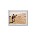 Picture of Camel Walk _GroupedProduct_Rectangle_Landscape_Photography _GroupedProduct_Rectangle_Landscape_Framed_Matted_