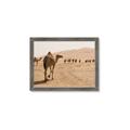 Picture of Camel Walk _GroupedProduct_Rectangle_Landscape_Photography _GroupedProduct_Rectangle_Landscape_Framed_Matted_