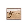 Picture of Camel Walk _GroupedProduct_Rectangle_Landscape_Photography _GroupedProduct_Rectangle_Landscape_Framed_Matted_