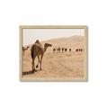 Picture of Camel Walk _GroupedProduct_Rectangle_Landscape_Photography _GroupedProduct_Rectangle_Landscape_Framed_Matted_