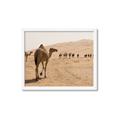 Picture of Camel Walk _GroupedProduct_Rectangle_Landscape_Photography _GroupedProduct_Rectangle_Landscape_Framed_Matted_