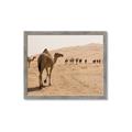 Picture of Camel Walk _GroupedProduct_Rectangle_Landscape_Photography _GroupedProduct_Rectangle_Landscape_Framed_Matted_