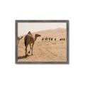 Picture of Camel Walk _GroupedProduct_Rectangle_Landscape_Photography _GroupedProduct_Rectangle_Landscape_Framed_Matted_