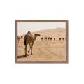 Picture of Camel Walk _GroupedProduct_Rectangle_Landscape_Photography _GroupedProduct_Rectangle_Landscape_Framed_Matted_