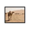 Picture of Camel Walk _GroupedProduct_Rectangle_Landscape_Photography _GroupedProduct_Rectangle_Landscape_Framed_Matted_