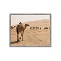Picture of Camel Walk _GroupedProduct_Rectangle_Landscape_Photography _GroupedProduct_Rectangle_Landscape_Framed_Matted_