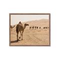 Picture of Camel Walk _GroupedProduct_Rectangle_Landscape_Photography _GroupedProduct_Rectangle_Landscape_Framed_Matted_