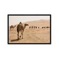 Picture of Camel Walk _GroupedProduct_Rectangle_Landscape_Photography _GroupedProduct_Rectangle_Landscape_Framed_Matted_