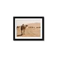 Picture of Camel Walk _GroupedProduct_Rectangle_Landscape_Photography _GroupedProduct_Rectangle_Landscape_Framed_Matted_