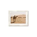 Picture of Camel Walk _GroupedProduct_Rectangle_Landscape_Photography _GroupedProduct_Rectangle_Landscape_Framed_Matted_