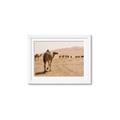 Picture of Camel Walk _GroupedProduct_Rectangle_Landscape_Photography _GroupedProduct_Rectangle_Landscape_Framed_Matted_