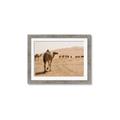 Picture of Camel Walk _GroupedProduct_Rectangle_Landscape_Photography _GroupedProduct_Rectangle_Landscape_Framed_Matted_