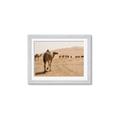 Picture of Camel Walk _GroupedProduct_Rectangle_Landscape_Photography _GroupedProduct_Rectangle_Landscape_Framed_Matted_