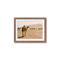 Picture of Camel Walk _GroupedProduct_Rectangle_Landscape_Photography _GroupedProduct_Rectangle_Landscape_Framed_Matted_