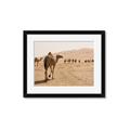 Picture of Camel Walk _GroupedProduct_Rectangle_Landscape_Photography _GroupedProduct_Rectangle_Landscape_Framed_Matted_