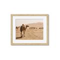 Picture of Camel Walk _GroupedProduct_Rectangle_Landscape_Photography _GroupedProduct_Rectangle_Landscape_Framed_Matted_